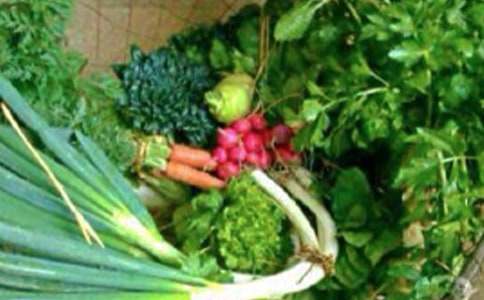 2023年做健康的第一责任人倡议书