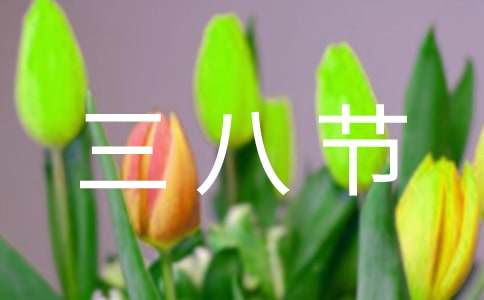 村三八节活动方案