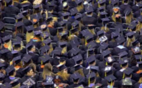 规划大学生涯心得体会