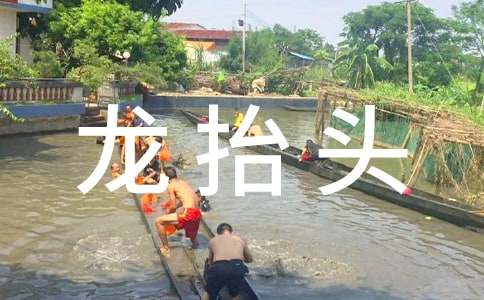 龙抬头的生日祝福语190句