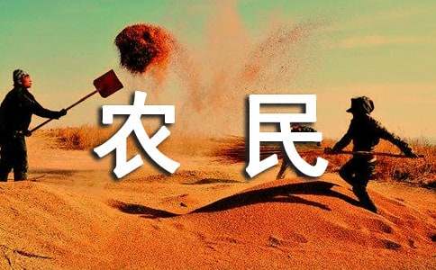 安徽省农民工劳动合同