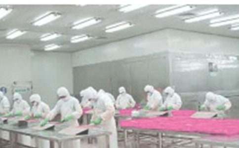 车间优秀员工表扬信