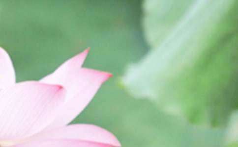 夏至快乐的祝福语