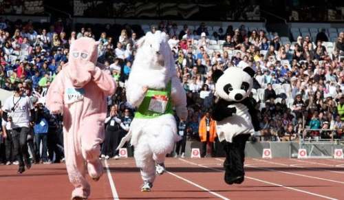 运动会获奖贺信范文通用