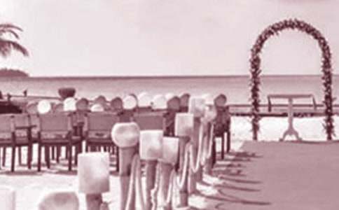 新郎婚礼的答谢词