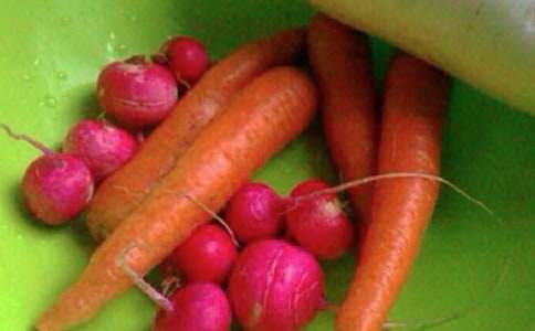 个人身心健康自我评价