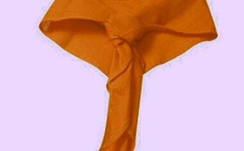 少先队红领巾奖章争章活动方案