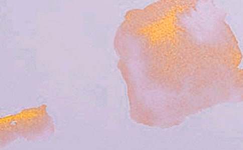 公共艺术专业自荐信