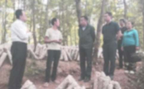 违规违纪检讨书