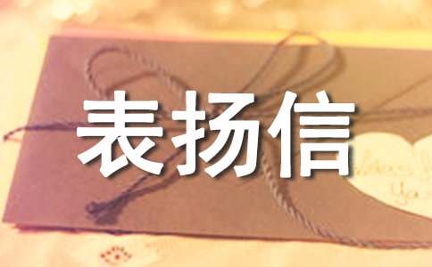 导游感谢信与表扬信4篇