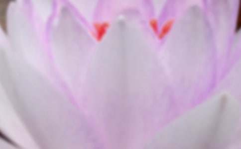 【推荐】夏至祝福语